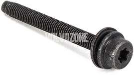 SIX POINT SOCKET SCREW Volvo 30624306 // Injector (OEM)